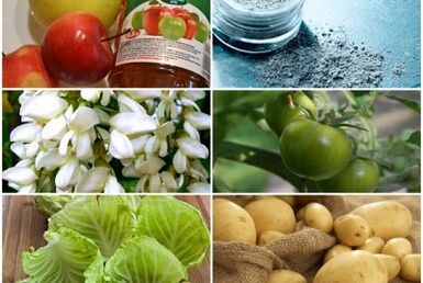 Folk remedies voor de behandeling van spataderen