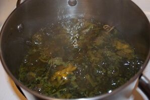 behandeling van spataderen met afkooksels